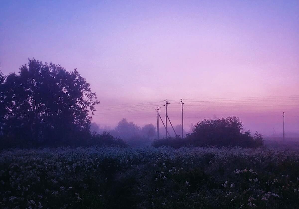排超季军战上海复仇广东取先机 双外援表现亮眼